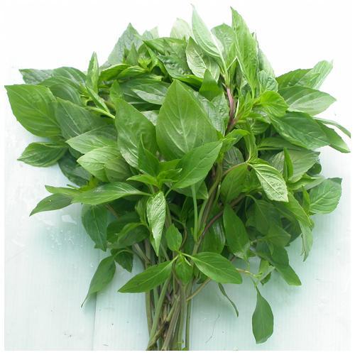 Basil Mint