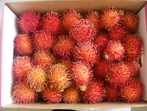 Rambutan Fruit