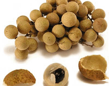 Longan