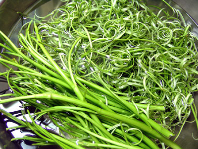 Water Spinach